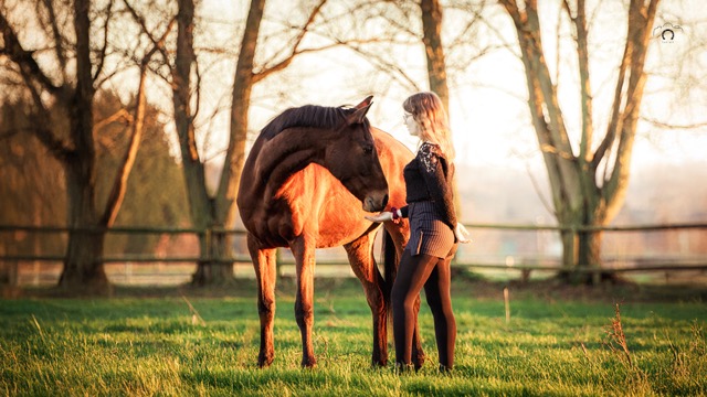 0A8A9740 Modifier Moyenne